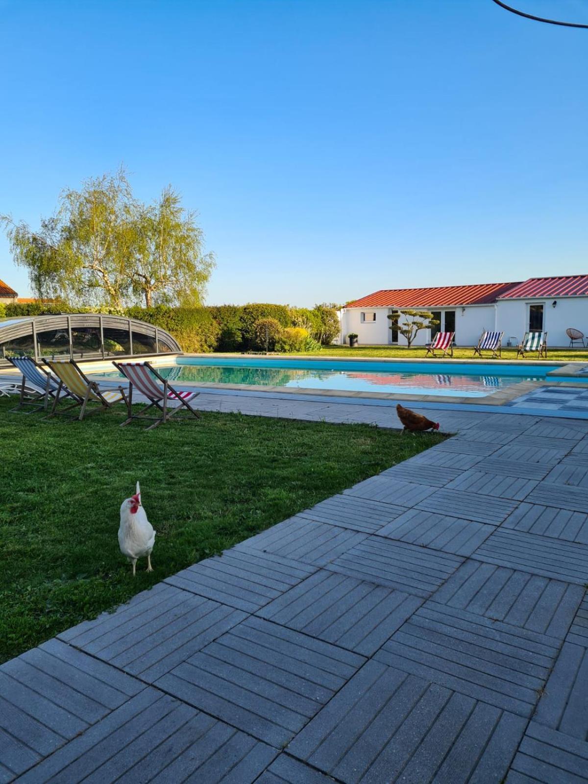 Ty Grain De Sel : Logement Privatif Avec Piscine, Jardin Et Patio Chauvé Exterior foto
